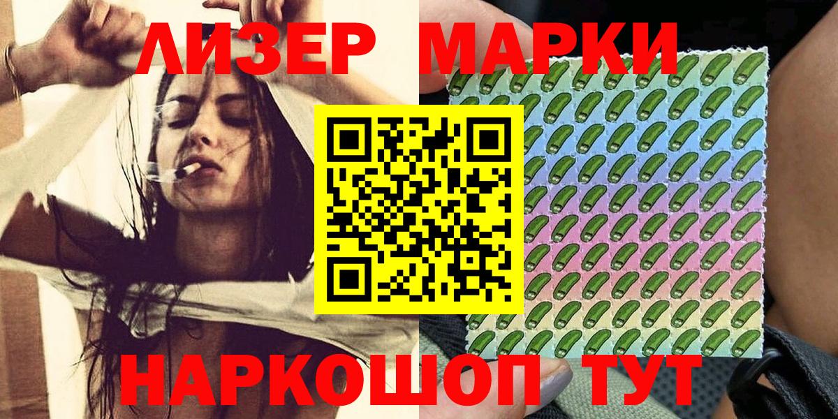 Наркотические марки 1500мкг  Вход с VPN  Наркотические марки 1500мкг  Губкин 