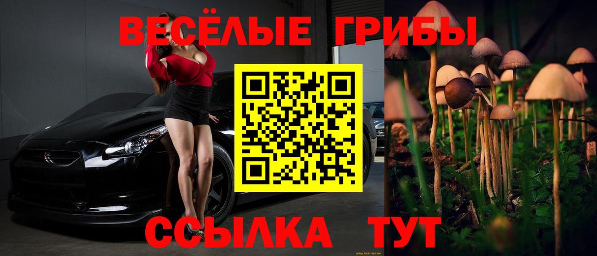 Псилоцибиновые грибы Psilocybine cubensis Губкин