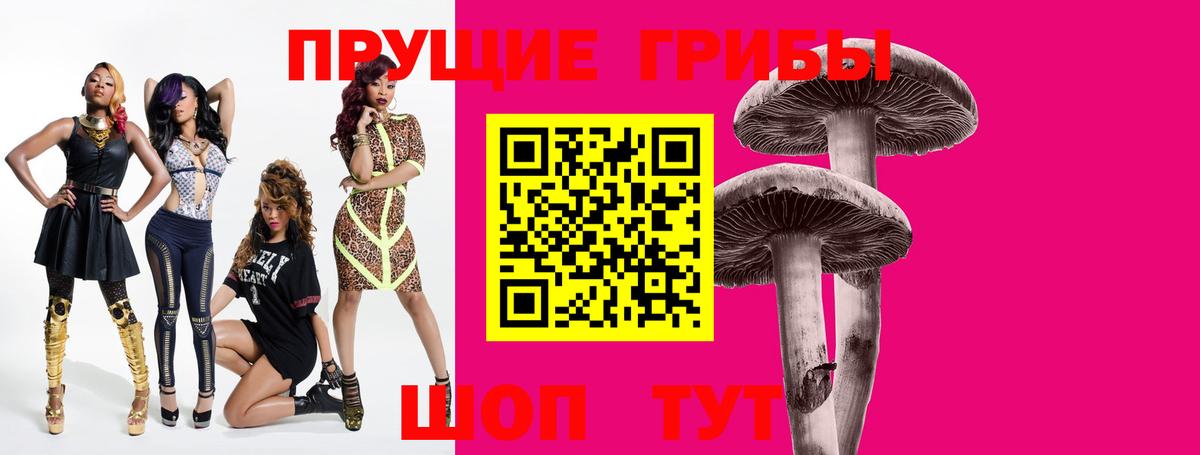 Псилоцибиновые грибы GOLDEN TEACHER  Вход с VPN  Губкин 